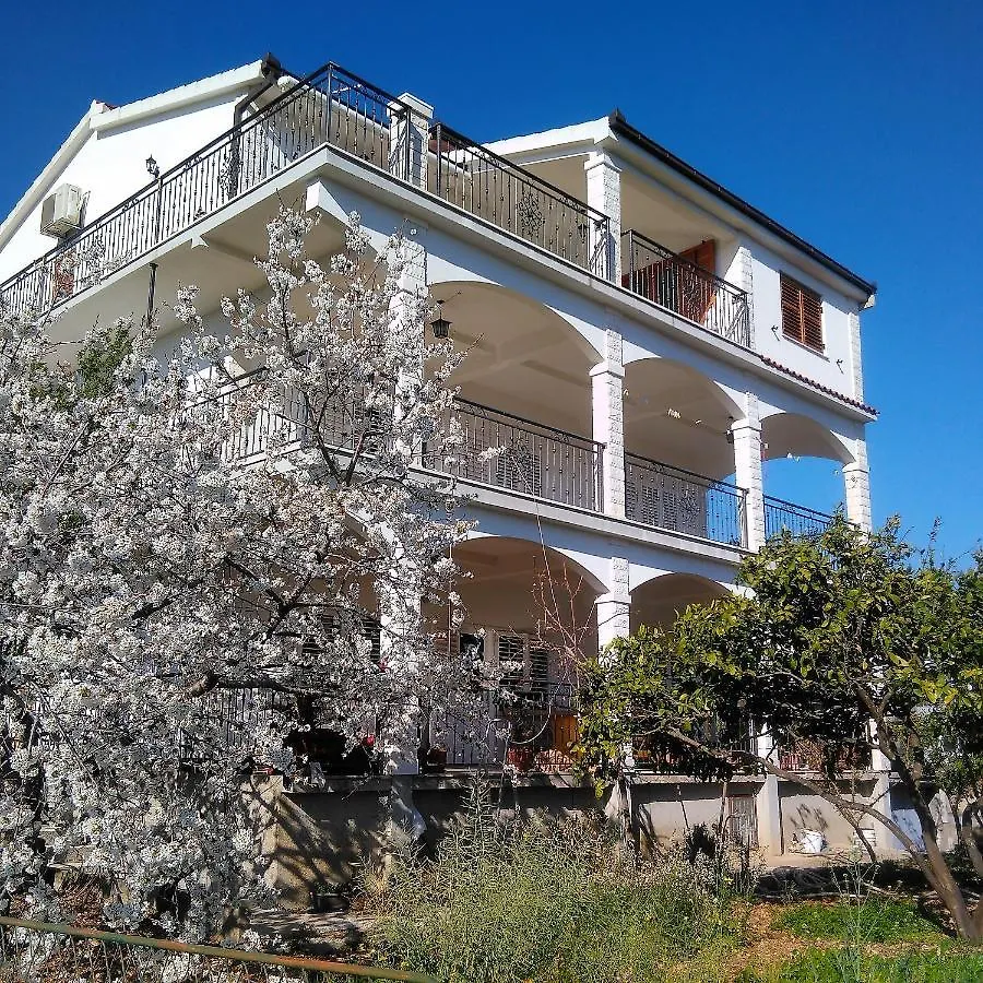 Apartments Blaz Seget Vranjica