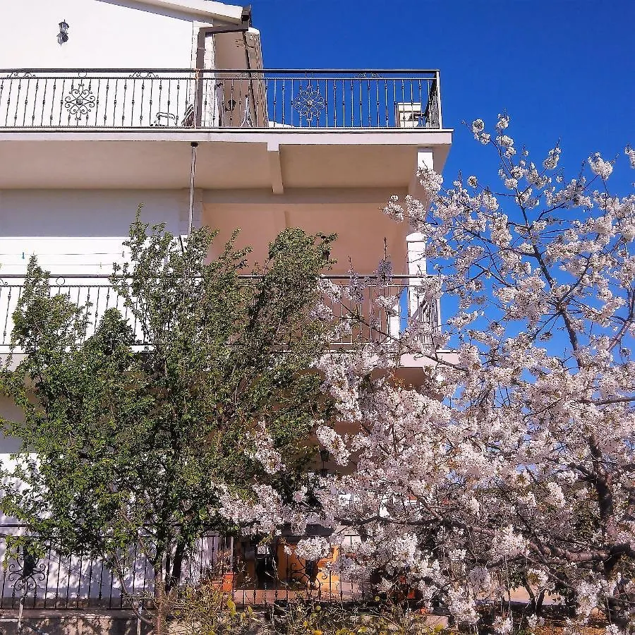Apartments Blaz Seget Vranjica